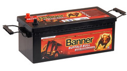   Banner 145 /, 800  |  64503