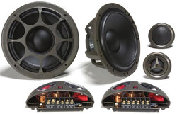   Morel    |  HYBRID602
