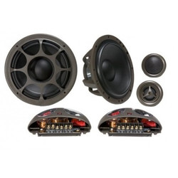  Morel    |  HYBRID502